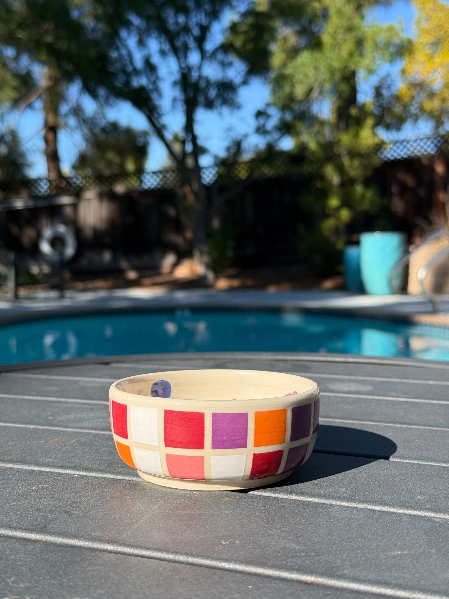 Checker Fruit Snack Bowl