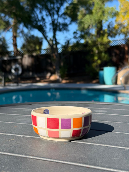 Checker Fruit Snack Bowl