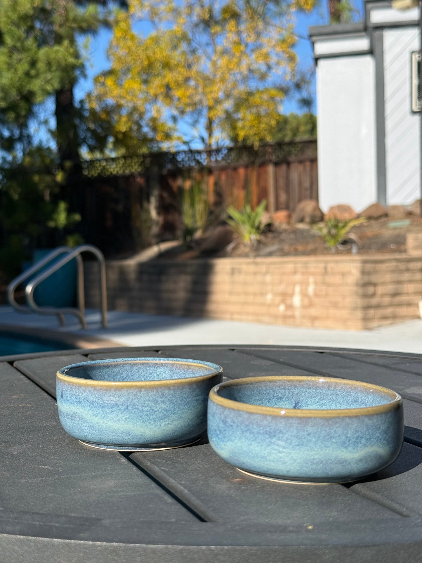 Set of 2 Snack Bowls - Blue