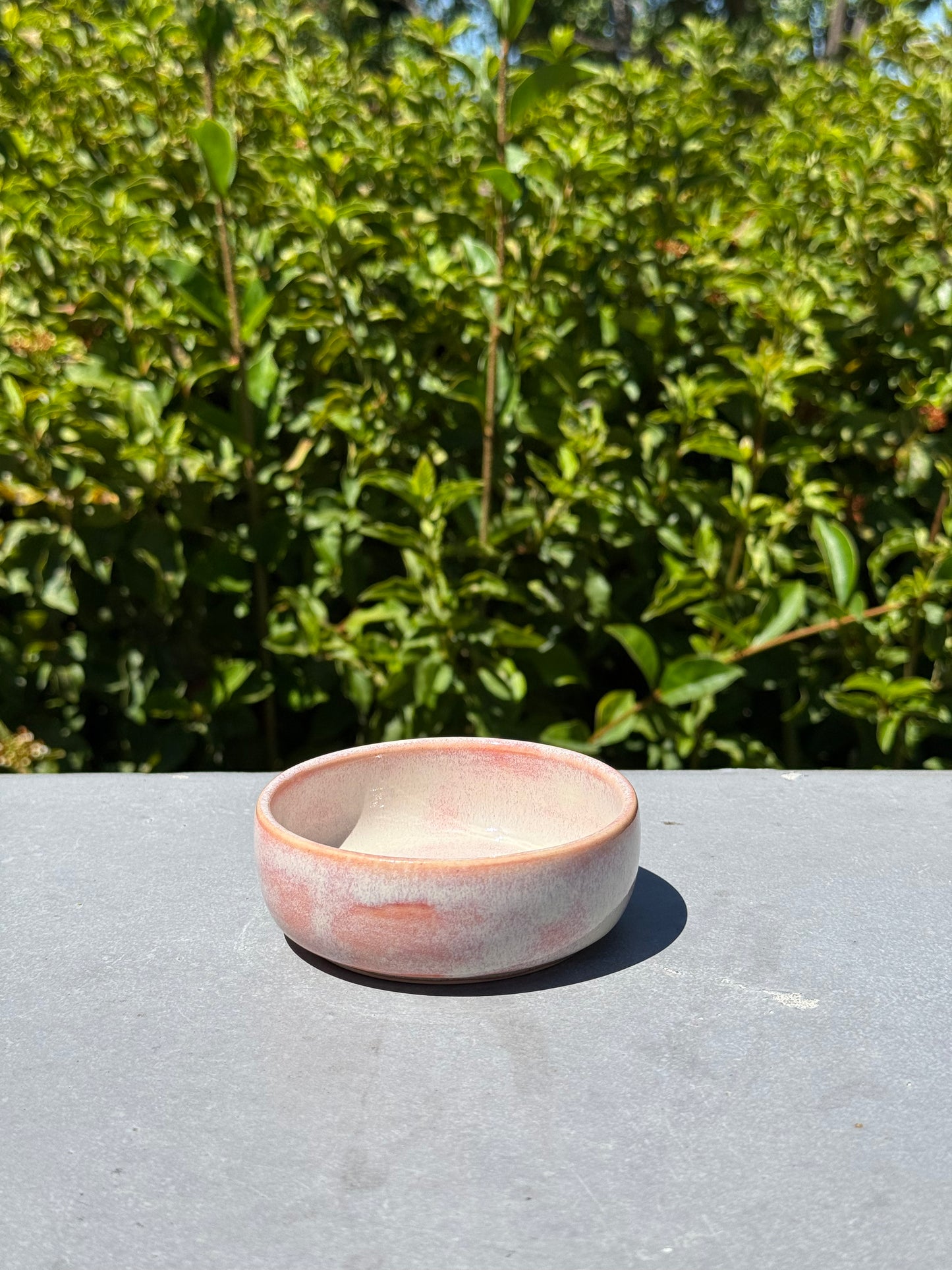 Snack Bowl, 2